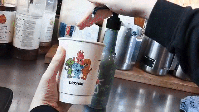 Bloomin: Meet the Mushies 🍄